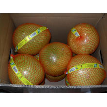 Fresh New Crop Honey Pomelo